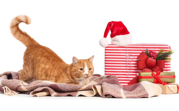 Niedliche rote Katze mit Weihnachtsgeschenken, Weihnachtsmütze und Karo auf weißem Hintergrund - Foto, Bild