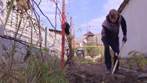 Человек копает в огороде - Кадры, видео