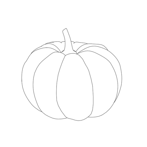 Pumpkin contour from black lines isolated on white background. Vector illustration - ベクター画像