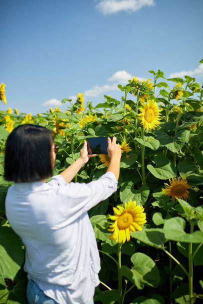 Woman farmer, bussineswoman take photo on tablet field Organic sunflower, sales online, growing seeds for production of vegetable oil. Smart farming digital agriculture, modern technology - Photo, Image