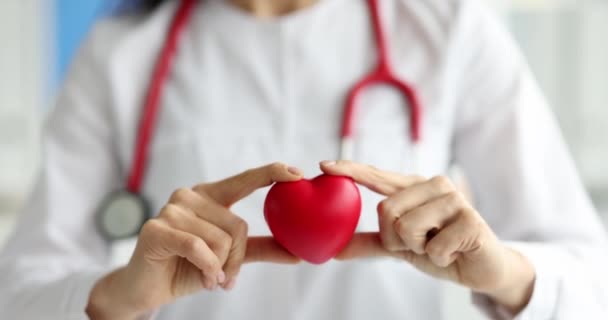 Doctor cardioloog houden rood speelgoed hart in kliniek closeup 4k film slow motion - Video