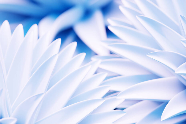 3d close-up ilustração de peônia azul delicada ou flor de crisântemo florescendo  - Foto, Imagem