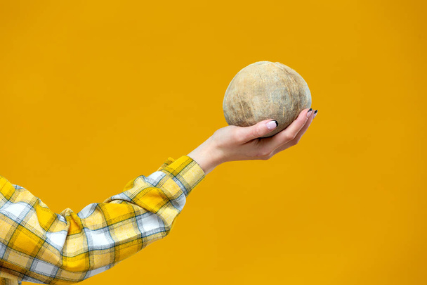 Close up of a coconut in a woman hand isolated on yellow background. Concept of healthy lifestyle, proper nutrition, diet, vegan, vegetarian - Photo, Image