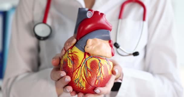 Médico cardiólogo sosteniendo modelo artificial de primer plano 4k película cámara lenta - Metraje, vídeo