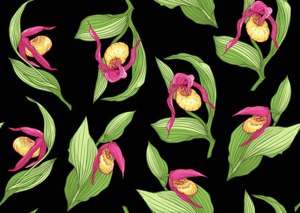 Ladys slipper Orchidee, Cypripedioideae, Nahtloses Muster, Hintergrund. Vektorillustration. - Vektor, Bild