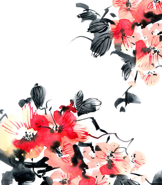 Watercolor and ink illustration of blossom sakura - twig with pink flowers and buds. Oriental traditional painting in style sumi-e, u-sin and gohua. - Фото, изображение