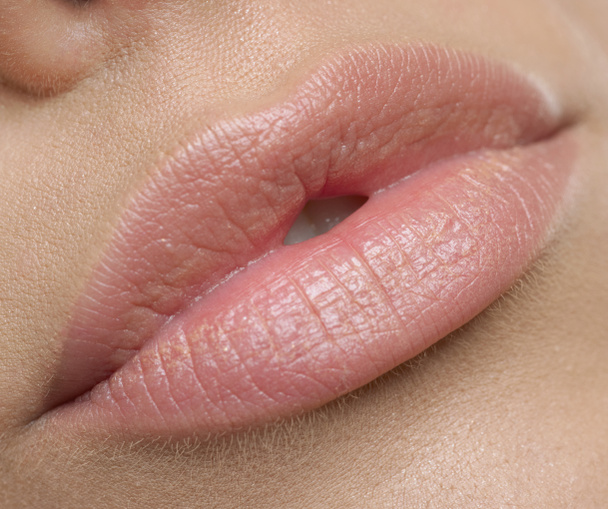 Lèvres naturelles
 - Photo, image