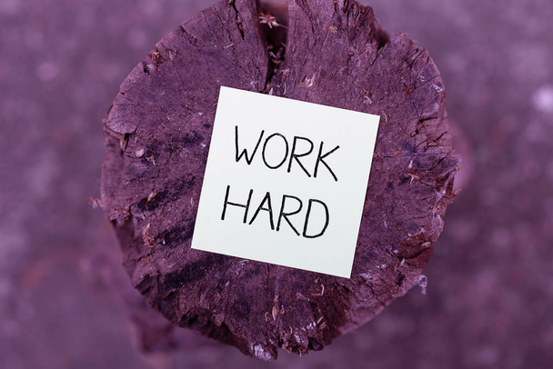 Schild mit der Aufschrift Work Hard. Geschäftsidee Arbeit, die Mühe in das Tun und Erledigen von Aufgaben legt Denken neue helle Ideen Erneuerung Kreativität und Inspiration - Foto, Bild