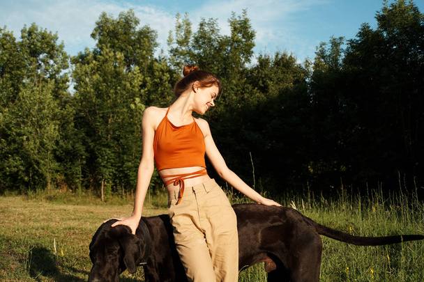 woman outdoors in the field with dog friendship playing - 写真・画像