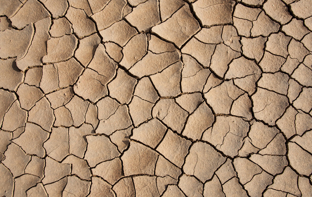Tierra seca agrietada - Desierto
 - Foto, Imagen