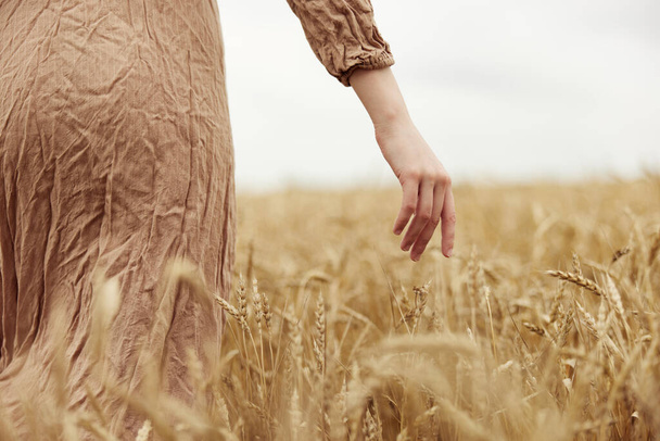 mano femenina campo industria cultivo campo sin fin - Foto, Imagen