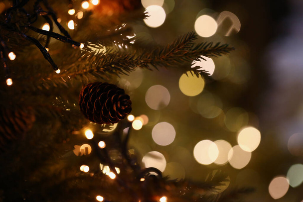 Рождественская елка с шишкой украшена гирляндой - Фото, изображение