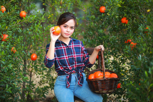 Jeune jardinière asiatique en chemise à carreaux rouge souriante et jardinière cueillant de l'orange biologique dans un verger d'orange, récoltant de l'orange mûre. Concept de récolte et plantation agricole. - Photo, image