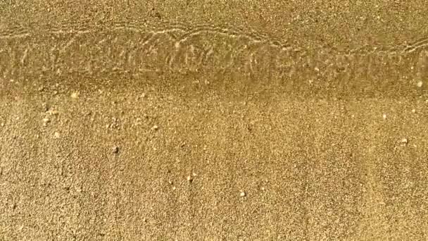 Sullo sfondo delle onde che scorrono sulla spiaggia di sabbia dorata del mare. Vacanza estiva e concetto di natura - Filmati, video