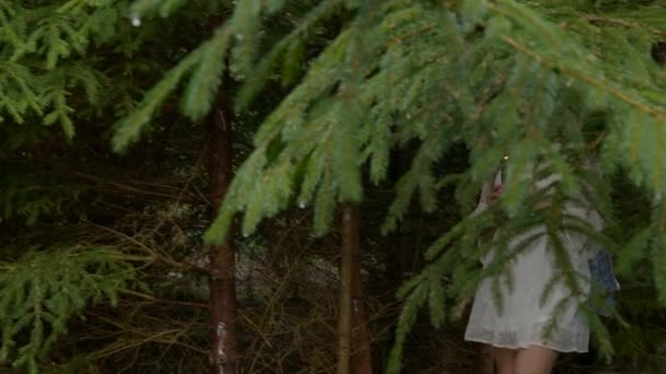 Эльфийская девушка со свечой гуляет по лесу - Кадры, видео