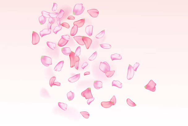 Fondo horizontal de la naturaleza.Pétalos de sakura que caen rosados.Fondo vectorial con flor de cerezo de primavera. - Vector, imagen