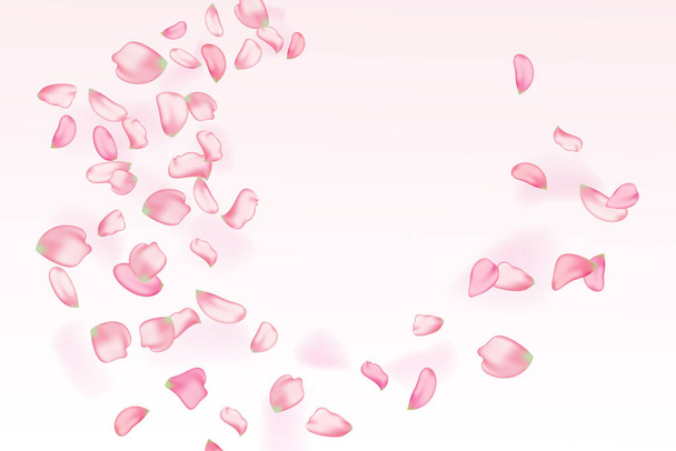 Fondo horizontal de la naturaleza.Pétalos de sakura que caen rosados.Fondo vectorial con flor de cerezo de primavera. - Vector, Imagen