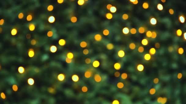 Abstract Blurred Christmas lights on background of Christmas tree. Blurred Christmas or New Year Lights Bokeh Background. 4K resolution video - Footage, Video