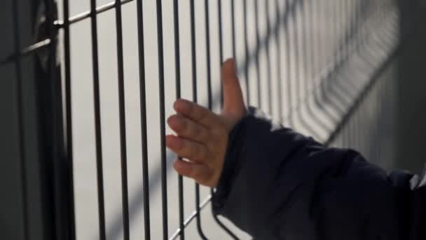 Little boy holding metal fence with hands. Concept of poverty, immigration, bullying and kids stress - Footage, Video