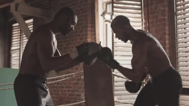 Colpo medio di due uomini afroamericani muscolosi senza maglietta che praticano pugni sul ring di pugilato al fight club in stile loft - Filmati, video