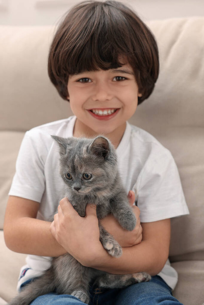Cute little boy with kitten on sofa. Childhood pet - Photo, Image