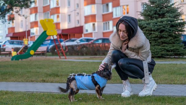 A girl walks on the street with a small dog after surgery. The dog is wearing a medical blanket. Animal healthy concepts. Space for text. - Photo, image