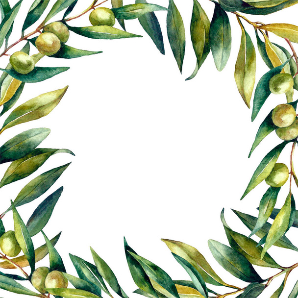 Watercolor set olives brunch and olives set - Foto, Imagen