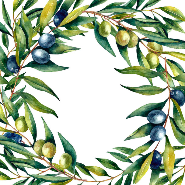 Watercolor set olives brunch and olives set - Foto, immagini
