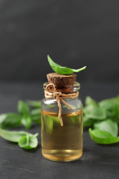 Bottle of essential basil oil and fresh leaves on dark grey table - Fotó, kép