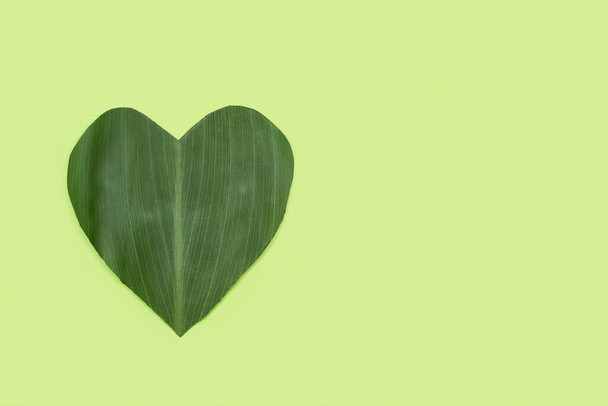 Una hoja verde cortada en forma de corazón sobre un fondo verde - Foto, imagen