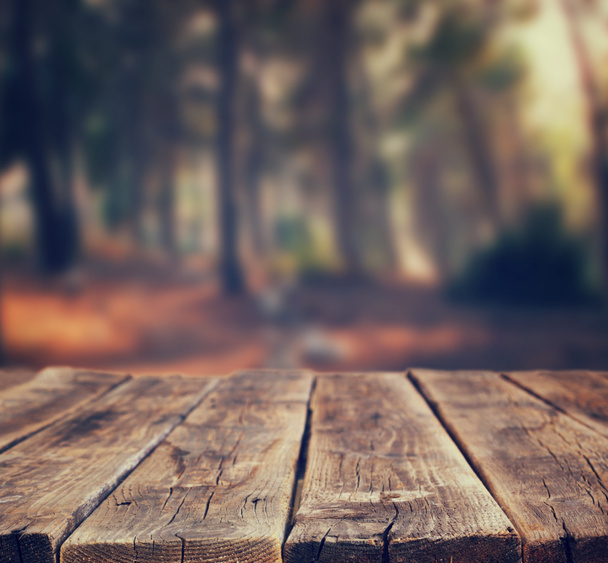 Bild von vorderen rustikalen Holzbrettern und Hintergrund von Bäumen im Wald. Bild ist retro getönt - Foto, Bild