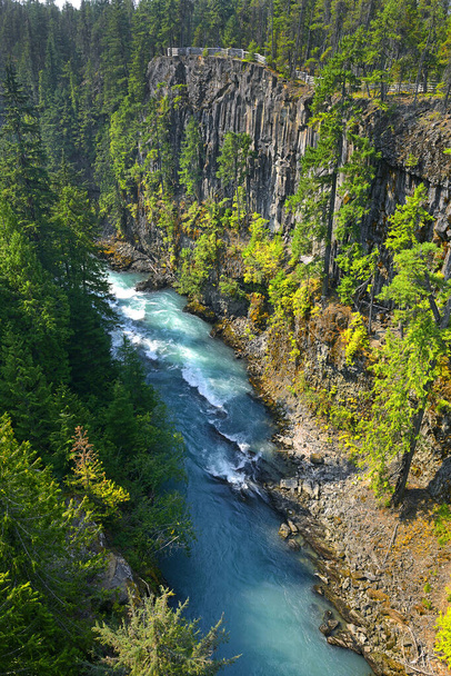 Rzeka Cheakamus, szybki pod mostem bungee w pobliżu Whistler, Kolumbia Brytyjska, Kanada - Zdjęcie, obraz