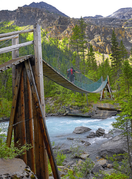 Robson River Valley, the bridge on the hiking trail, Mount Robson Provincial Park, Canadian Rocky Mountain - UNESCO World Heritage Site, British Columbia - Foto, imagen
