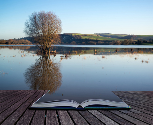 αντανακλάσεις καθρέφτη έννοια βιβλίο του τοπίου σε κοίτες πλημμυρών σε  - Φωτογραφία, εικόνα