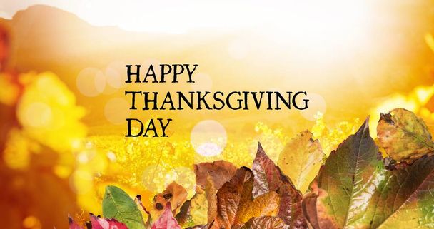 Digital composite image of happy thanksgiving day text and autumn leaves with copy space. thanksgiving celebration, tradition and autumn concept. - Zdjęcie, obraz
