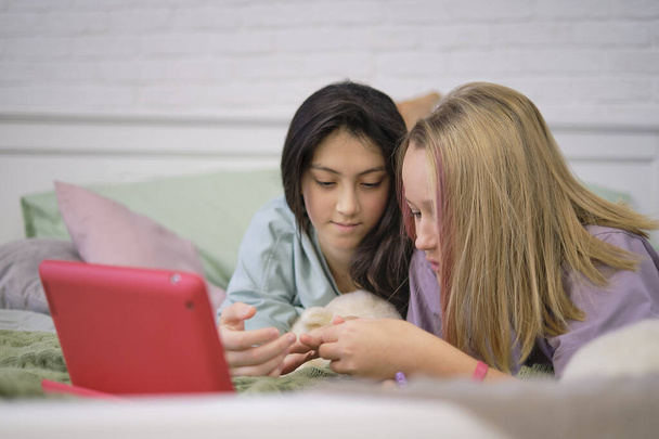 Две девочки-подростки сидят за ноутбуком и смотрят на монитор, беседующий с друзьями за видеочатом. - Фото, изображение