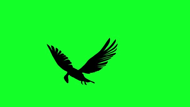 3D-animatie - silhouet van condor in vliegen op groen scherm - Video