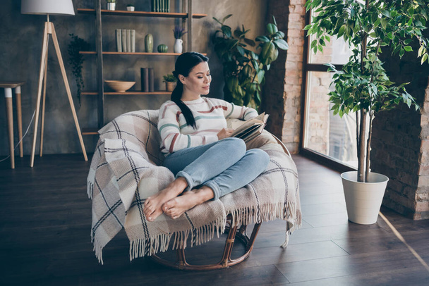 Photo of nice lady sit armchair read book rest wear striped sweater in comfortable apartment home indoors - Фото, изображение