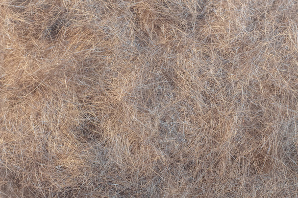 obrázek na pozadí: husté kudrnaté vlasy na podlaze v holičství - Fotografie, Obrázek
