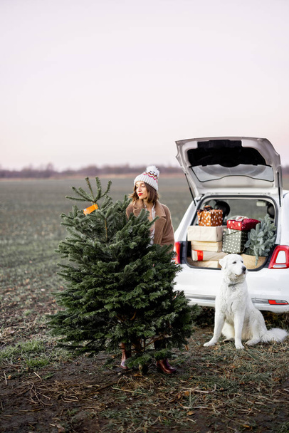 Noel ağacı olan bir kadın ve doğada arabanın yanında bir köpek. - Fotoğraf, Görsel