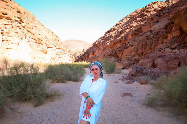 砂漠の峡谷を背景にKefiyehメガネの白いシャツを着た女性観光客 - 写真・画像