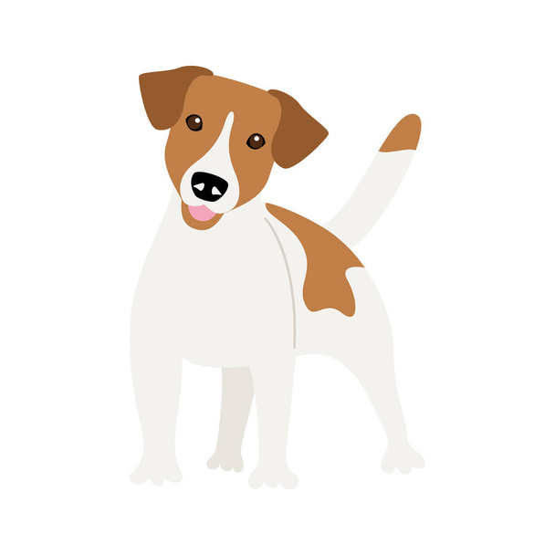 Чистая собака Джека Рассела
 - Вектор,изображение