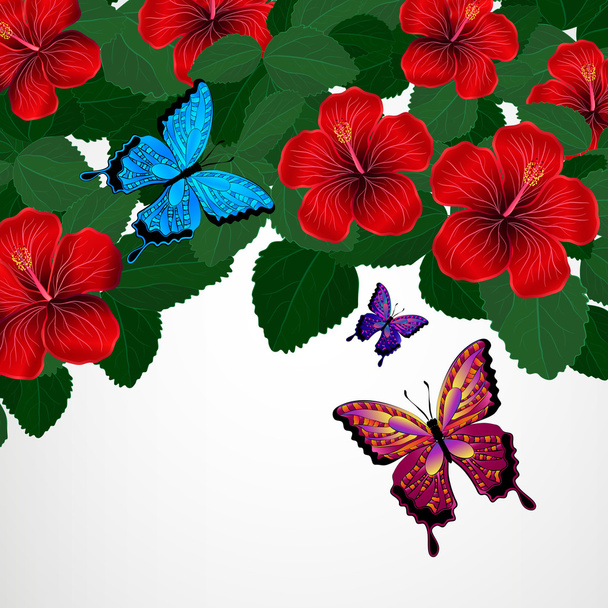 Floral design background. Hibiscus flowers with butterflies. - Vektor, obrázek