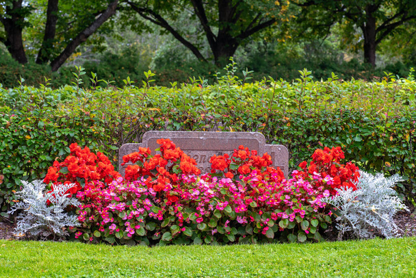 Tumba de piedra con vibrantes flores rosas y rojas en un hermoso y cuidado cementerio en Suecia - Foto, imagen