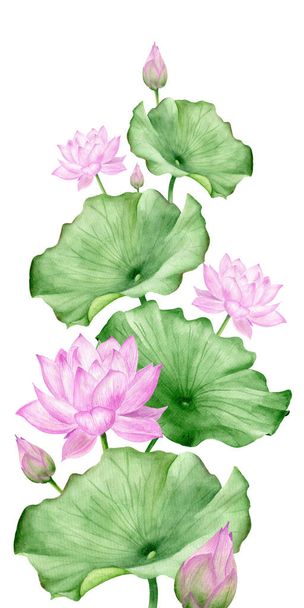 Traditional oriental lotus flowers watercolor printable illustration - Zdjęcie, obraz