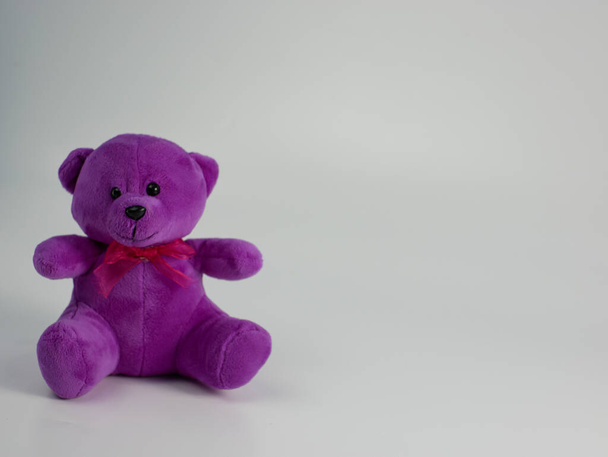 фиолетовый плюшевый медведь выделен на белом фоне. пространство для копирования готово для добавления текста - Фото, изображение