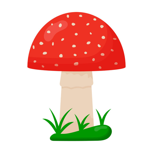 Грибы Аманиты. Красные грибы с белыми пятнами. Fly agaric - Вектор,изображение