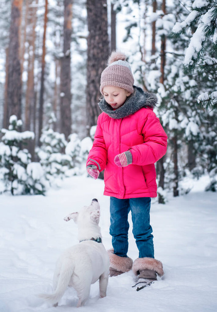 Маленька дівчинка в яскравій куртці грає в зимовому засніженому лісі зі своїм собакою Джек Россел тер'єр
 - Фото, зображення