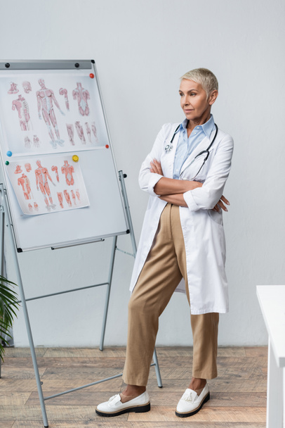 starší lékař v bílém kabátě se stetoskopem stojící se zkříženýma rukama u flip chartu s anatomickými obrázky  - Fotografie, Obrázek