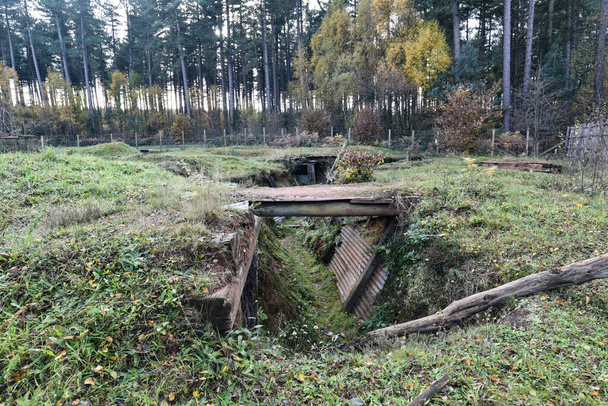 Sherwood Pines, Reino Unido - 19 Nov, 2021: Recreación Primera Guerra Mundial trincheras en primera línea como parte de un monumento en Sherwood pines forest, Nottinhamshire, Reino Unido - Foto, Imagen
